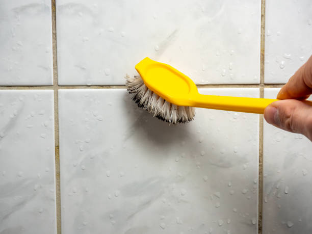Best Mold Remediation  in Lagunitas Forest Knolls, CA