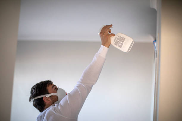 Reliable Lagunitas Forest Knolls, CA Mold Removal Solutions