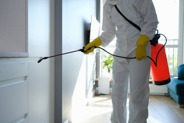 Home Mold Removal in Lagunitas Forest Knolls, CA