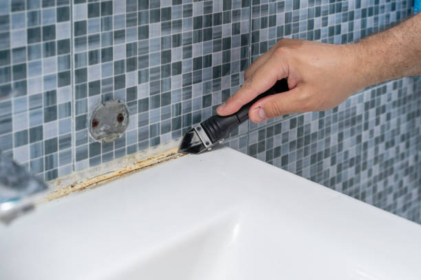 Best Mold Damage Repair  in Lagunitas Forest Knolls, CA